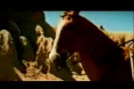 Говорящая лошадь в рекламе Toyota RAV4